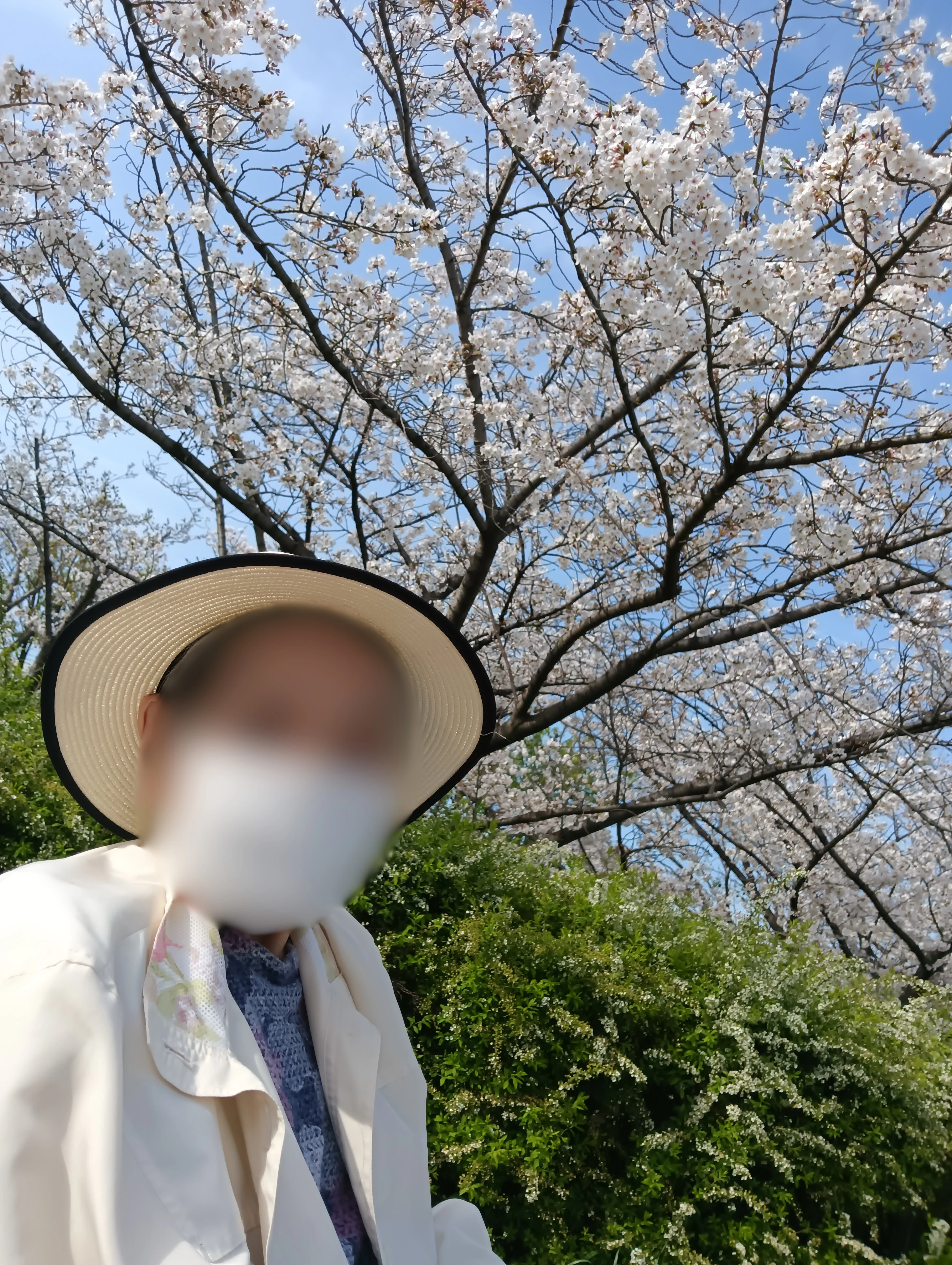 3cabb957-489e-4247-ac88-d9583638c055