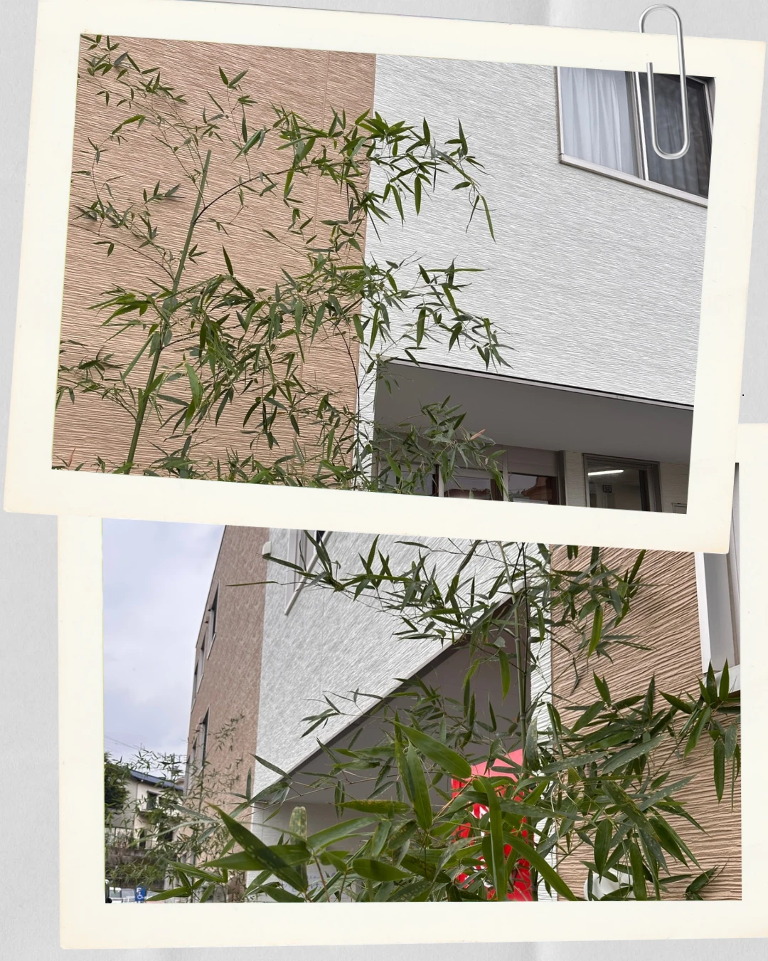 七夕　飾り　２ - 町田サ責