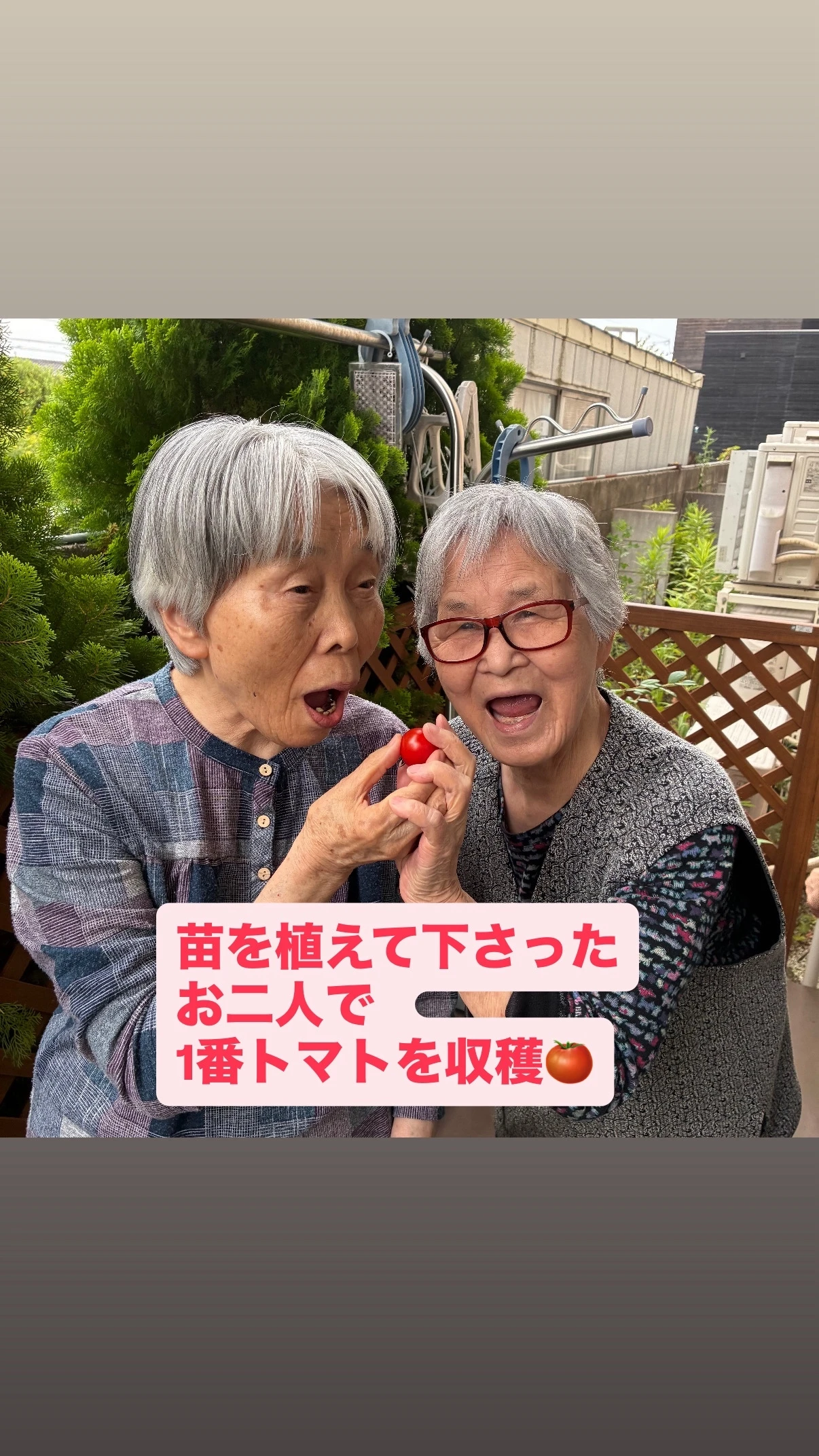 8D75B155-9E63-414D-9310-C5D7A72865C7 - ハピネスもみじの里