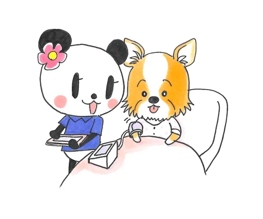 06