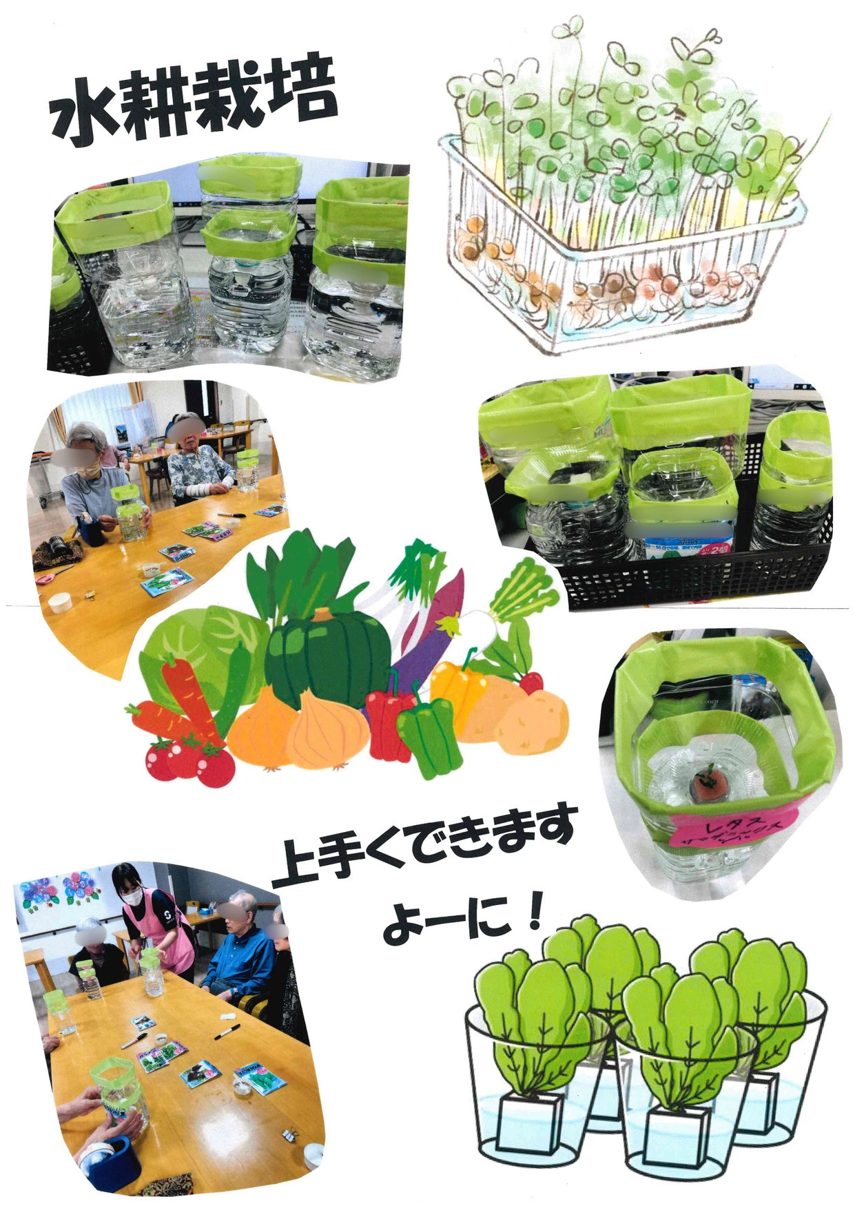 たいよう