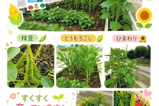 ～みんと農園＆MintGarden～第1弾(⌒∇⌒)