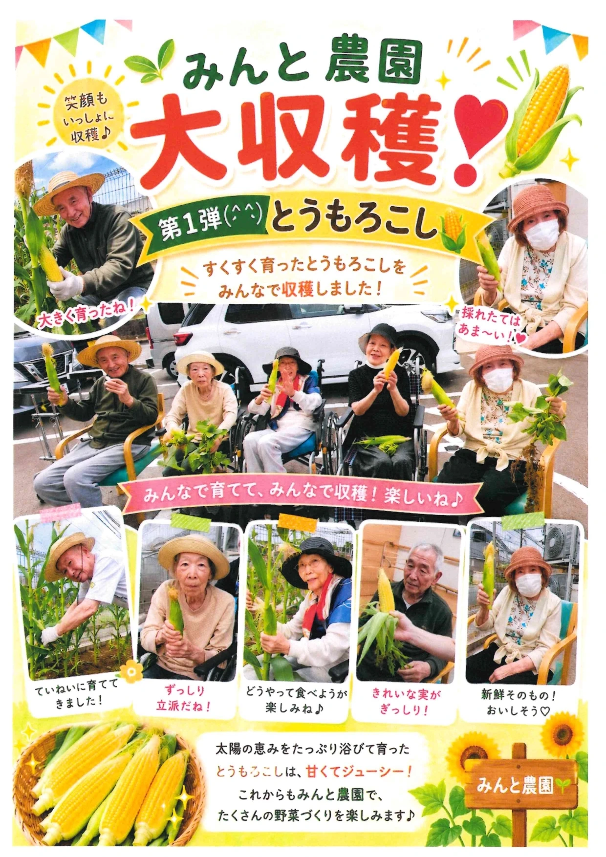 大収穫！！！とうもろこし - みんとの里施設長_page-0001