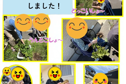 ２０２６年6月　じゃがいも掘り