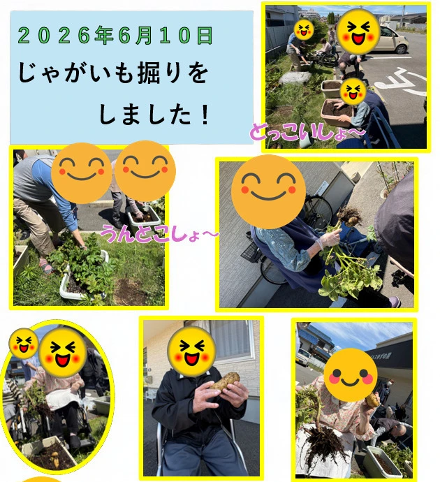 ゆず①