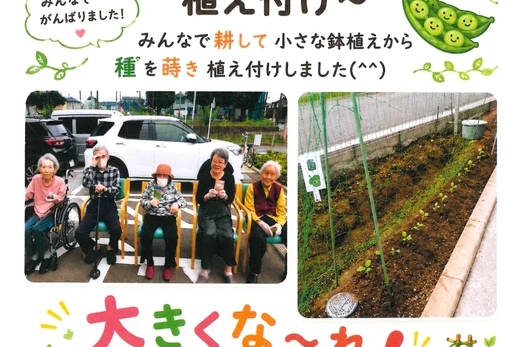みんと農園　～ミニトマト・スナップエンドウ植えました！！～