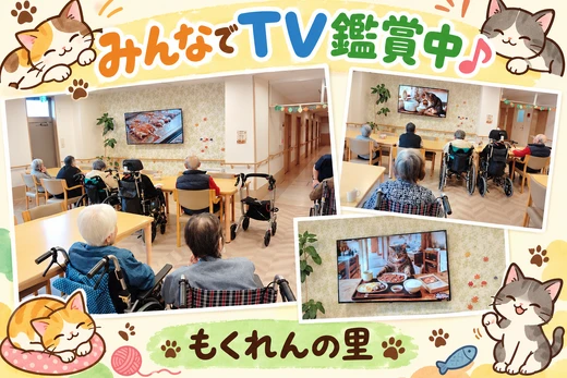 もくれんの里　最近のマイブーム🐱🐾